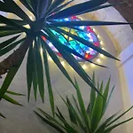 Casa Gargano 아파트 *